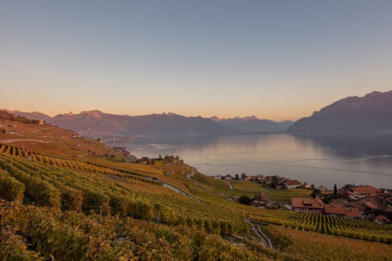 Caisse d'Epargne by L'elixir - Montreux