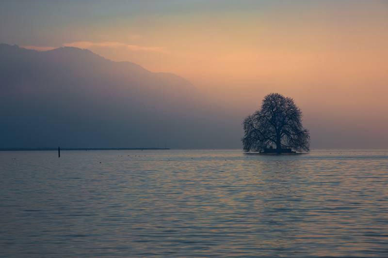 Caisse d'Epargne by L'elixir - Montreux